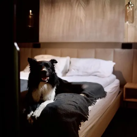 Πάρκο διακοπών Mikroklimat Premium