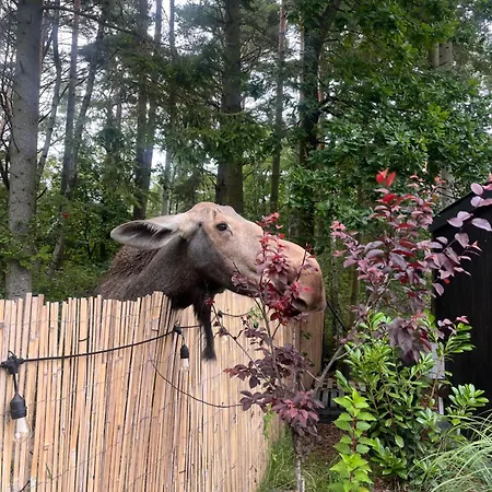 Mikroklimat Premium Jarosławiec