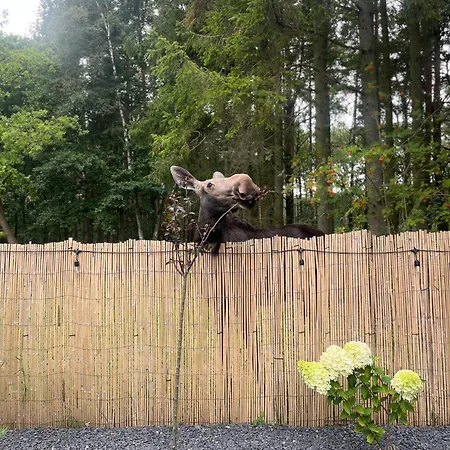 Mikroklimat Premium Πάρκο διακοπών Jarosławiec