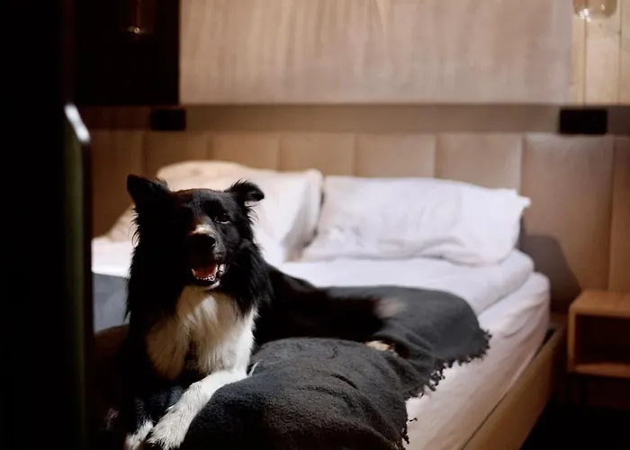 Kompleks wypoczynkowy Mikroklimat Premium