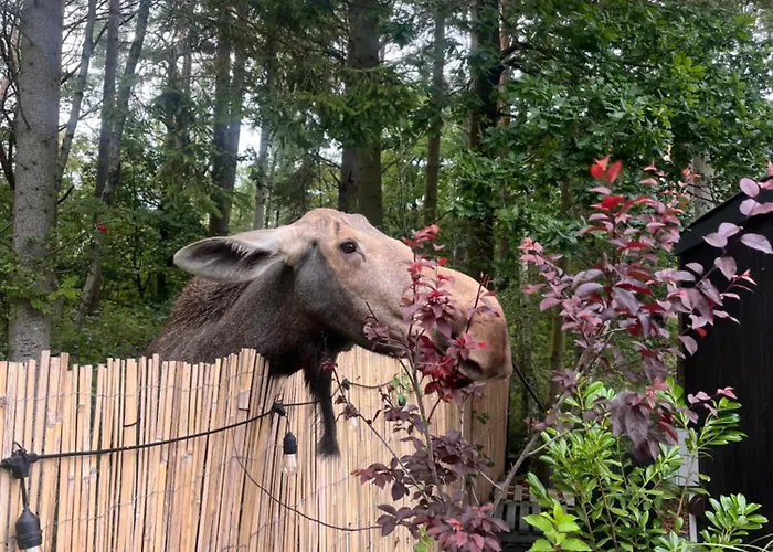 Mikroklimat Premium Jarosławiec