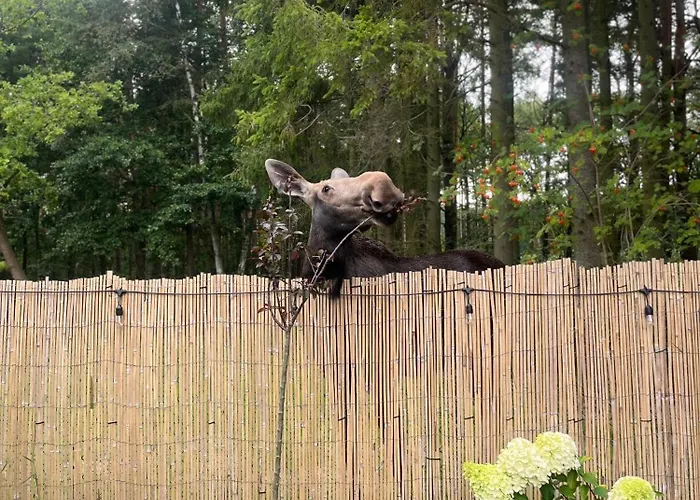 Mikroklimat Premium Kompleks wypoczynkowy Jarosławiec